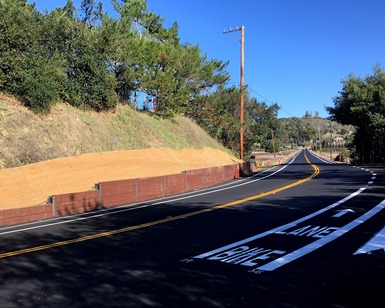 An "after" photo of the Olive Avenue bike lane project