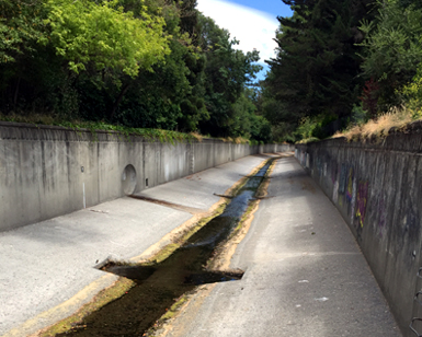 A concrete water channel alongside Frederick Allen Park in Ross.