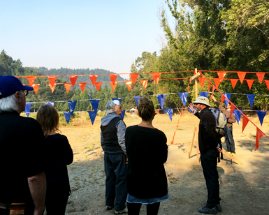 Several members of the public mingle at the site of the former Sunnyside Nursery.