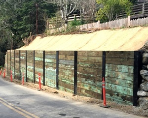 An image showing Balboa Avenue in Inverness and adjacent hillside after the recent repairs.