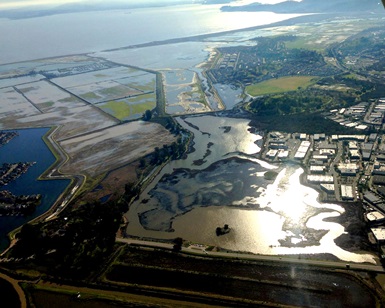 An aerial view of Novato shows floodwater encroaching on neighborhoods after a storm