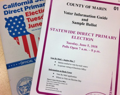 A close-up view of the voter information guide.