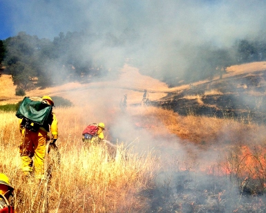 Firefighters tend to a grassland fire during a training session.