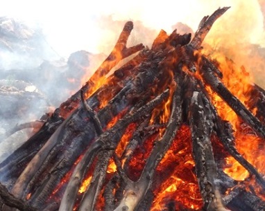 A burning pile of large branches.