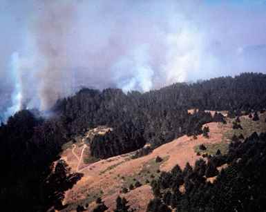 An archive photo of West Marin hills burning during the Vision Fire in 1995.