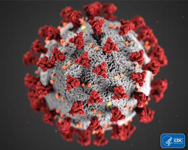 This illustration, created at the Centers for Disease Control and Prevention (CDC), reveals ultrastructural morphology exhibited by coronaviruses. Red spikes that adorn the outer surface of the virus, impart the look of a corona surrounding the virion, when viewed electron microscopically. 