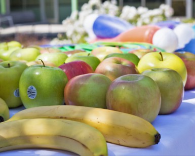 Free bananas and apples sit on a table during Marin County's Fruit & Veggie Festival.