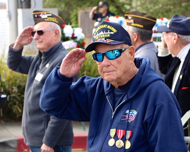 A veteran wearing a jacket adorned with many war medals gives a salute