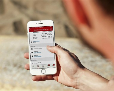 A man holds his smartphone showing the food inspection application