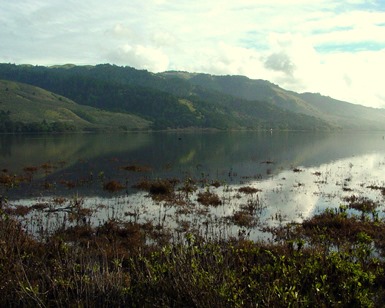 Bolinas Lagoon, with marshland in the foreground, water in the center and green hills in the background