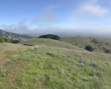 A view of the hills of Bowman Canyon Ranch near Novato.