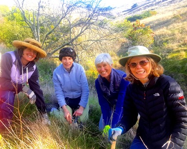 Four women kneel on a hillside as they look at the camera during a weed pulling session.