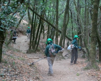 Four members of the Conservation Corps North Bay conduct trail maintenance on a Marin County Parks trail.