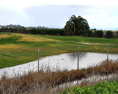 Flooding is shown on a fairway at McInnis Park Golf Course after a winter storm combined with a king tide.