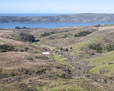 A hilltop view looking down on Bivista Ranch with Tomales Bay in the distance.