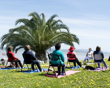A small group participates in chair yoga at a County park.