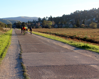 A view of deteriorated pavement on the Mill Valley-Sausalito Multiuse Path.