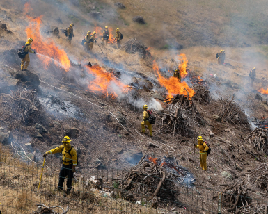 A view of a hillside with several firefighters burning piles of woody debris to reduce wildfire fuels.
