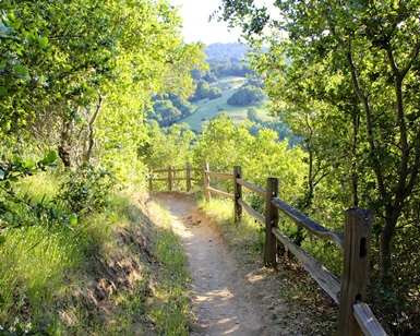 A view of a trail and wooden fence at Verissimo Hills Open Space Preserve in western Novato.