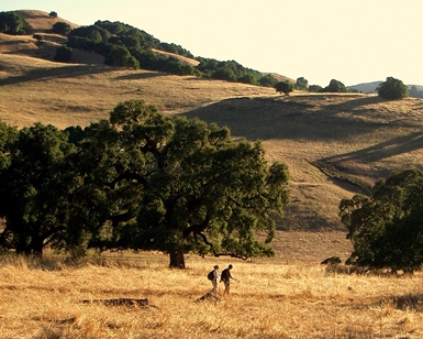 Two hikers walk on a trail in the Mount Burdell Open Space Preserve near Novato