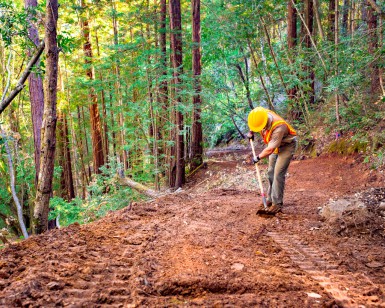 A man with a shovel works on a dirt trail in a forest.