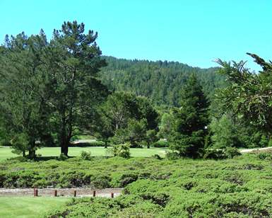 Scenic view of the San Geronimo Golf Course