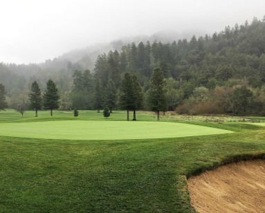 A putting green, sand trap and background trees on the former San Geronimo Golf Course.