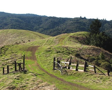 A hilltop view of White Hill Open Space Preserve