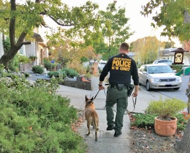 A law enforcement officer and a police dog on a leash walk on a sidewalk during the probation compliance check.