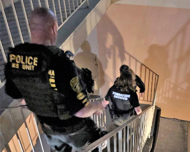 Several law enforcement officers head down a staircase in an apartment building during a probation operation.