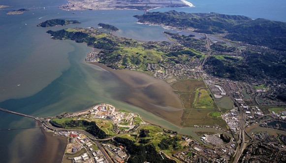 Aerial view of Marin Shoreline