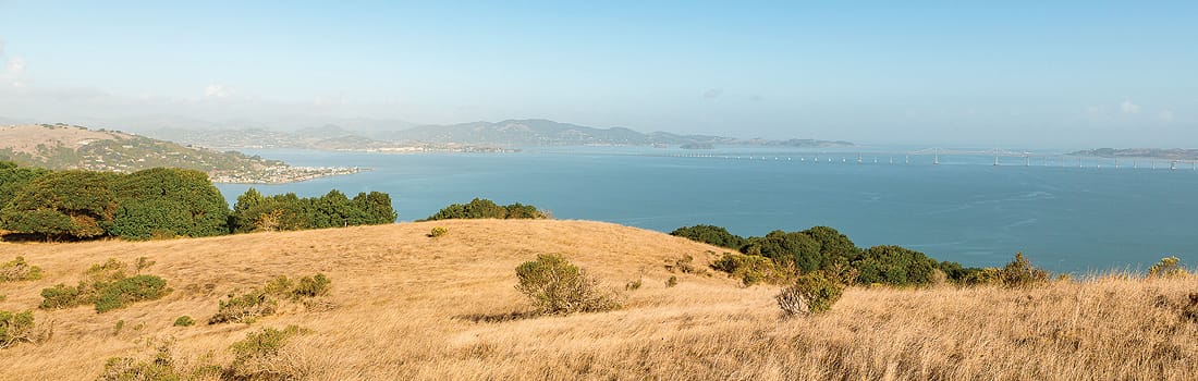 View of the Bay from Ring Mountain Preserve