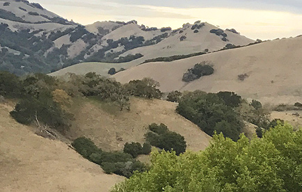 View of the canyon from top of Indian Tree Preserve