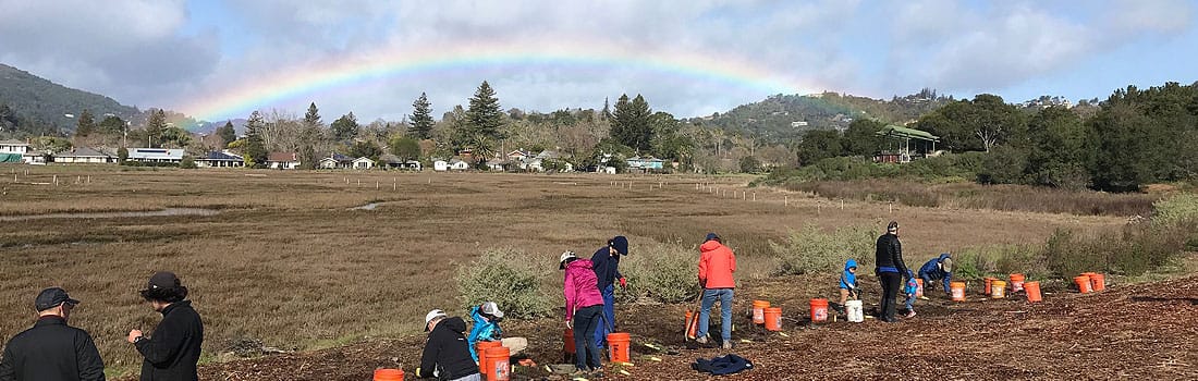 Volunteers planting at Creekside