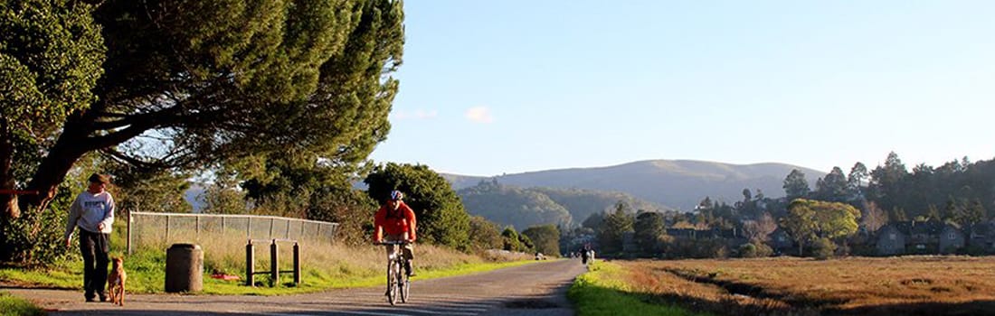 Biker and dog walker passing on Mill Valley/Sausalito Pathway