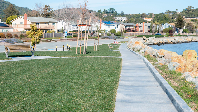 Turf and accessible path at Bayside Park