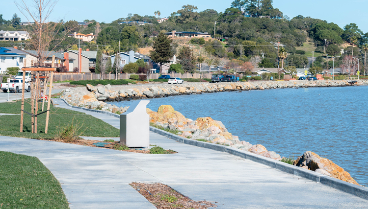 New trees, benches, and garbage cans at Bayside Park