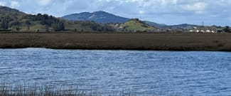 View of Gallinas Creek