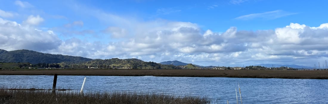 View of Gallinas Creek