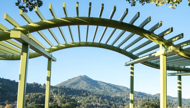 Hal Brown Park view of Mount Tam