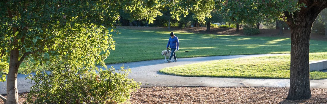 Hal Brown Park