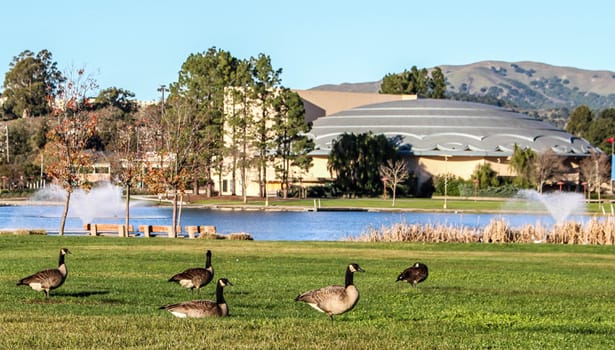 Lagoon Park Civic Center