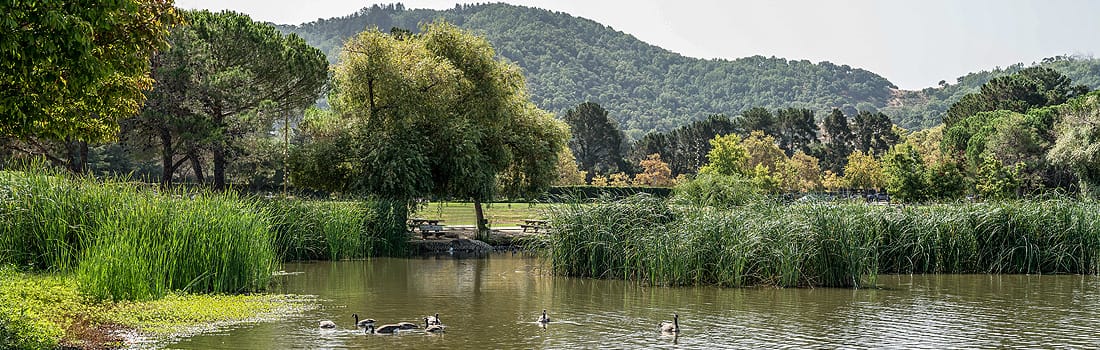 Lagoon Park