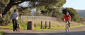 Mill Valley Sausalito Pathway