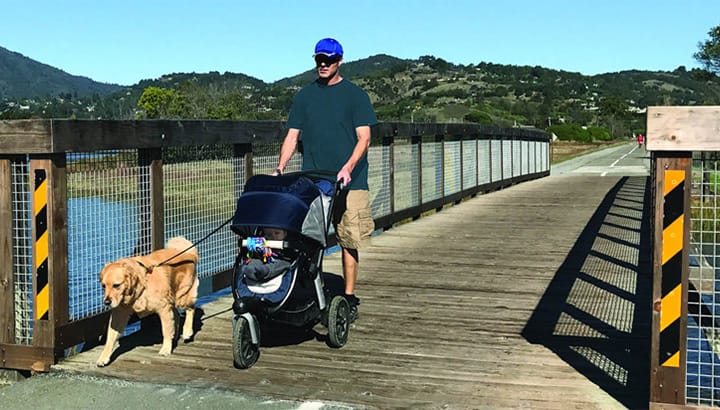 Mill Valley Sausalito Pathway