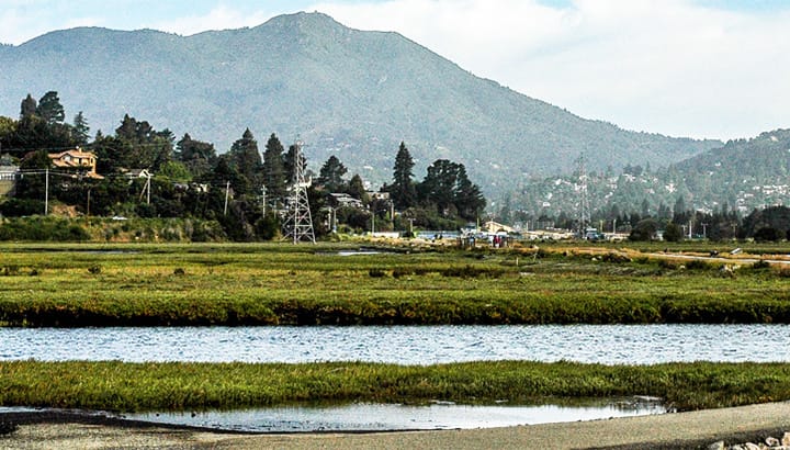 Mill Valley Sausalito Pathway