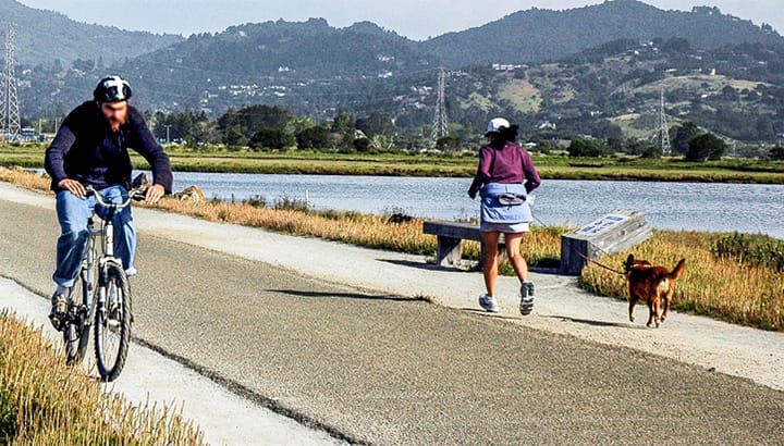 Mill Valley Sausalito Pathway