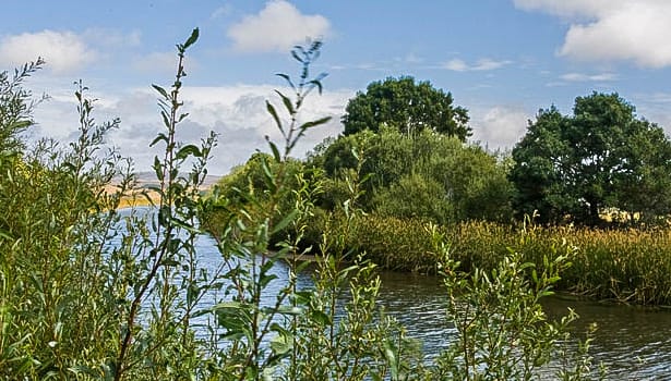 Whitehouse Pool creek