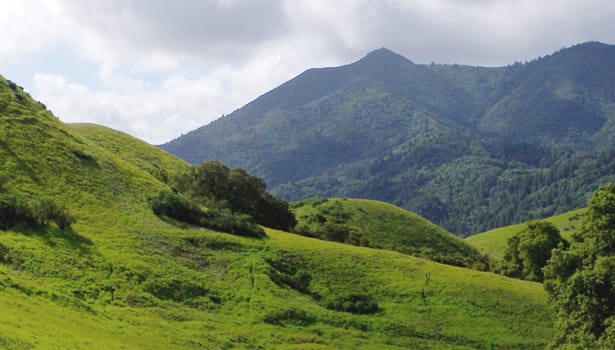 Bald Hill scenic view