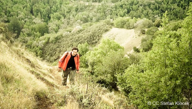 Man hiking in Bald Hill Preserve